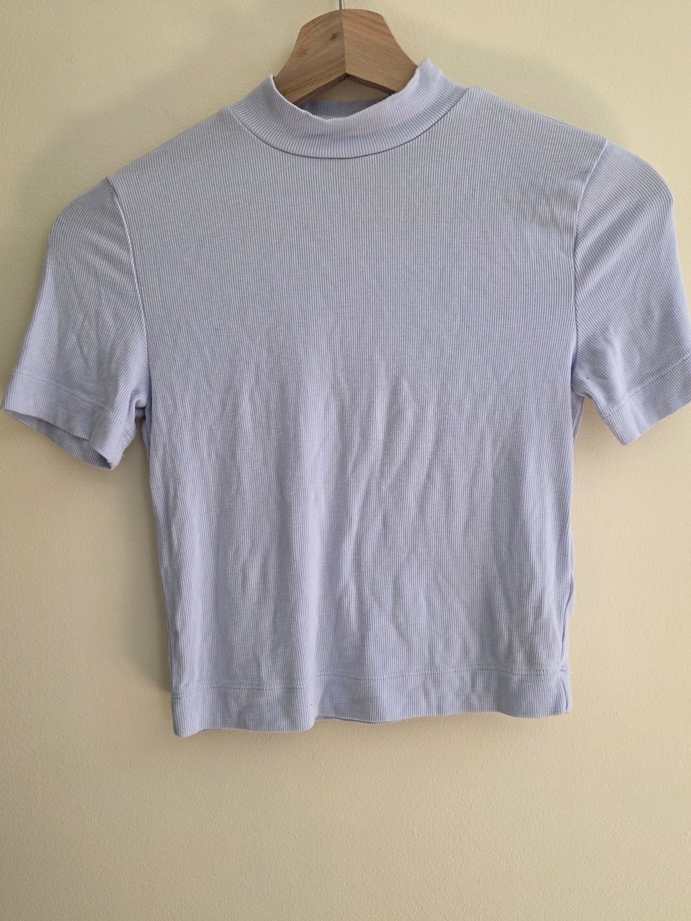 Babaton / Aritzia Pale Blue Cropped Ribbed Mock Neck Tee